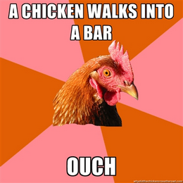 chicken meme - a chicken walks into a bar