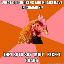 chicken meme - what do chickens and roads have in common?