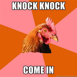 chicken meme - knock knock, come in