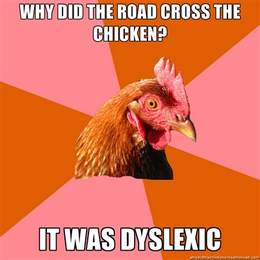 chicken meme - why did the road cross the chicken?