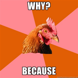 chicken meme - Why?  Because